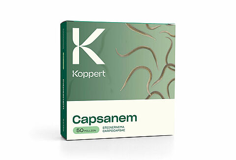 Энтомофаг Capsanem, 10 пакетиков/250 млн в коробке, Koppert