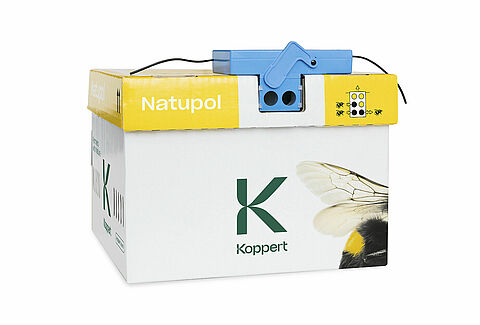 Трансмиттер + таймер для ресивера Wireless Beehome, Koppert