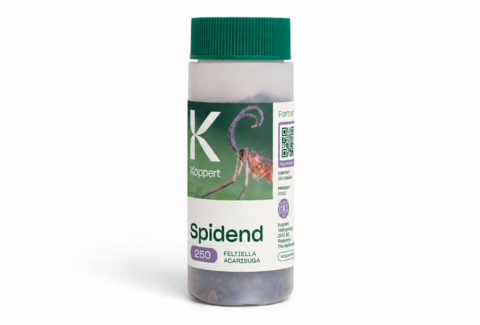 Энтомофаг Spidend, 550 мл, Koppert