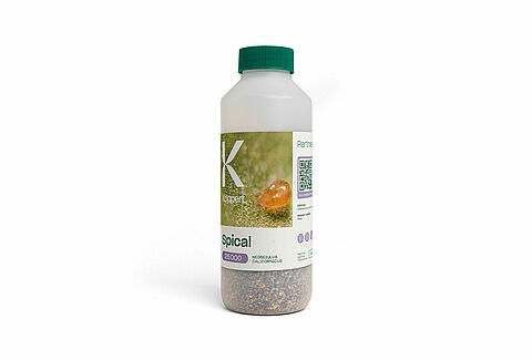 Энтомофаг Spical, 500 мл/25000 клещей, Koppert