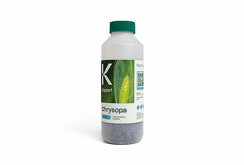 Энтомофаг Chrysopa 6 л/10000 личинок, Koppert