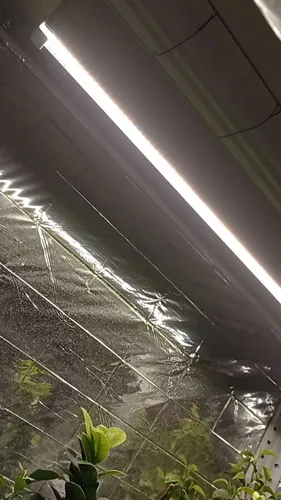 Фото покупателя