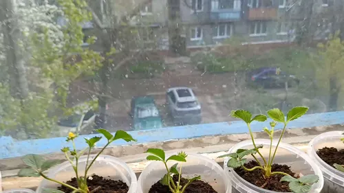 Фото покупателя
