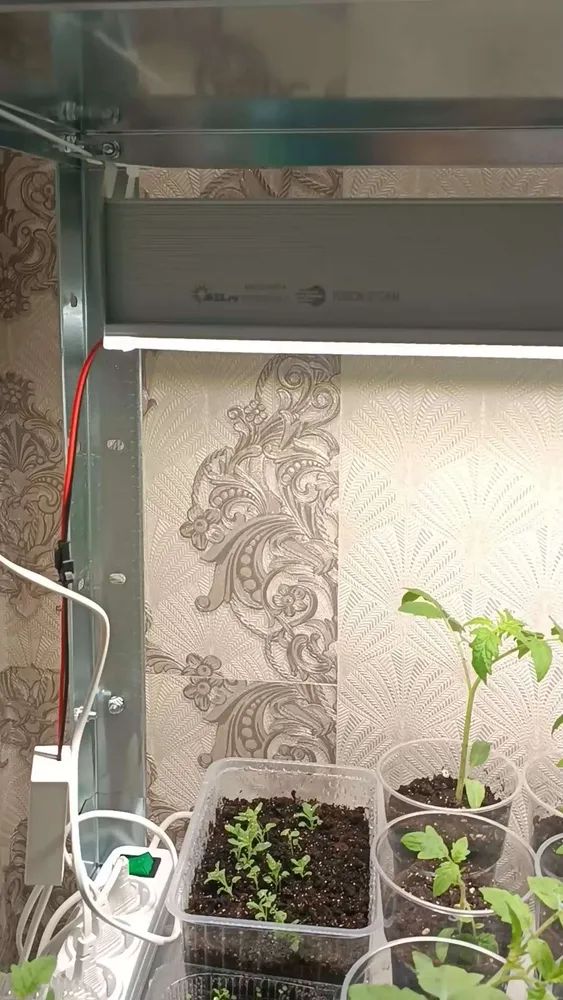 Фото покупателя