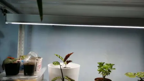 Фото покупателя