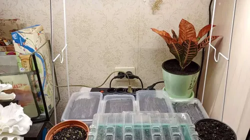 Фото покупателя