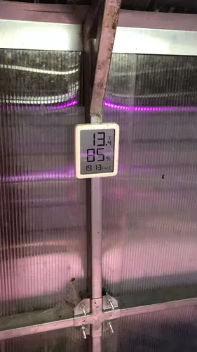 Фото покупателя