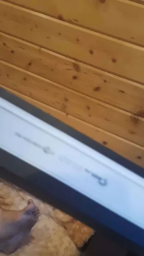 Фото покупателя