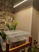 Фото покупателя