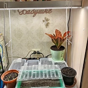 Фото покупателя