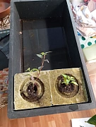 Фото покупателя