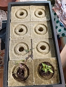 Фото покупателя