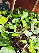 Фото покупателя