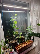 Фото покупателя