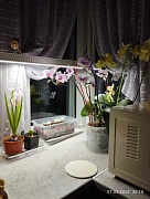 Фото покупателя