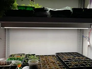 Фото покупателя