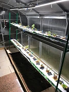 Фото покупателя