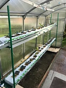 Фото покупателя