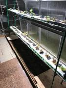 Фото покупателя