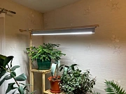 Фото покупателя