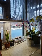 Фото покупателя