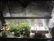 Фото покупателя