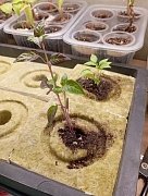 Фото покупателя