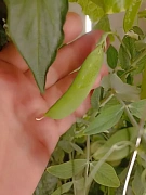 Фото покупателя