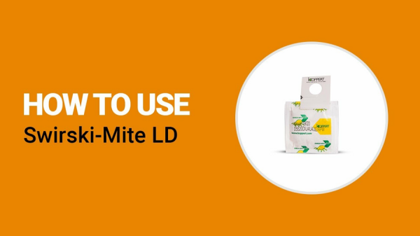 Энтомофаг Swirski-Mite LD, 500 саше, Koppert фото в интернет-магазине Ufarms 