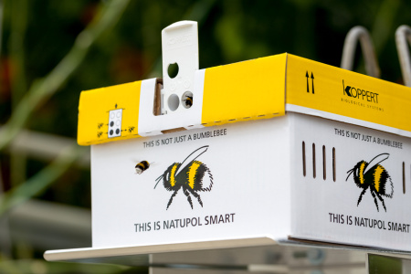 Улей Natupol Smart, Koppert фото в интернет-магазине Ufarms 