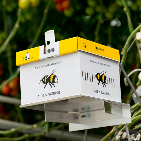 Улей Natupol Standard , Koppert фото в интернет-магазине Ufarms 