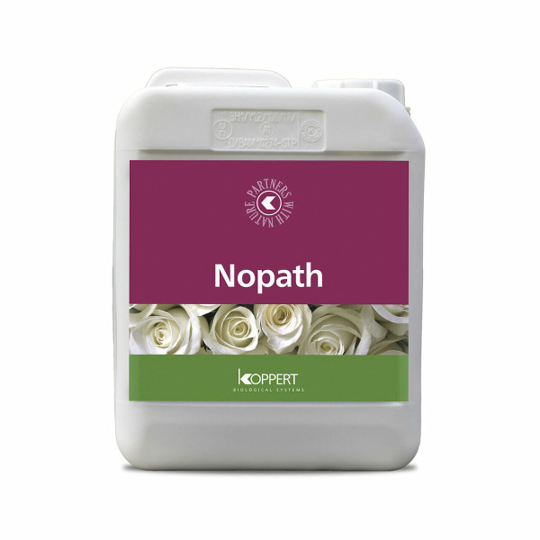 Эфирное масло Nopath, 1 л, Koppert