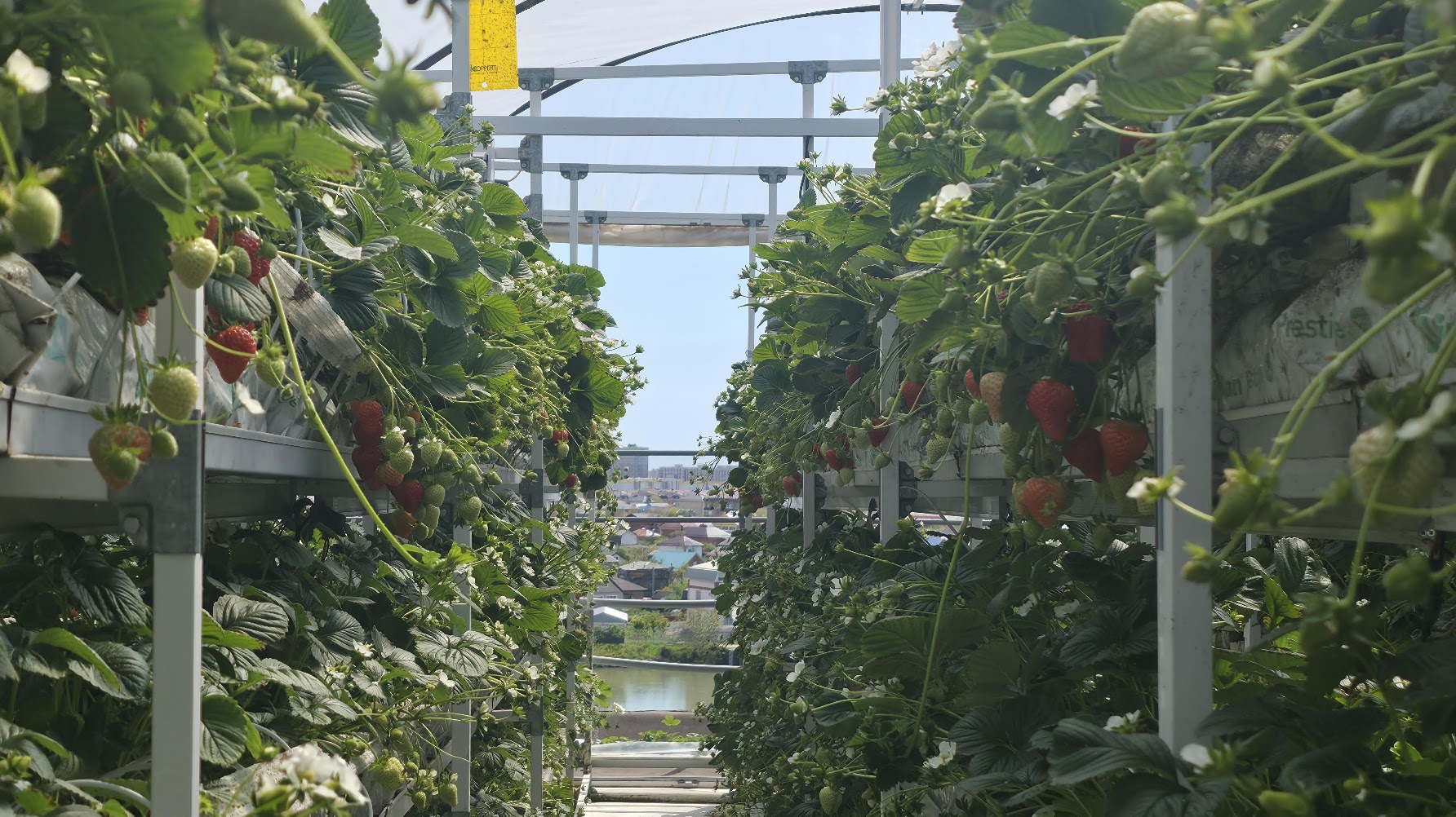 Проход между модульными стеллажами UFARMS